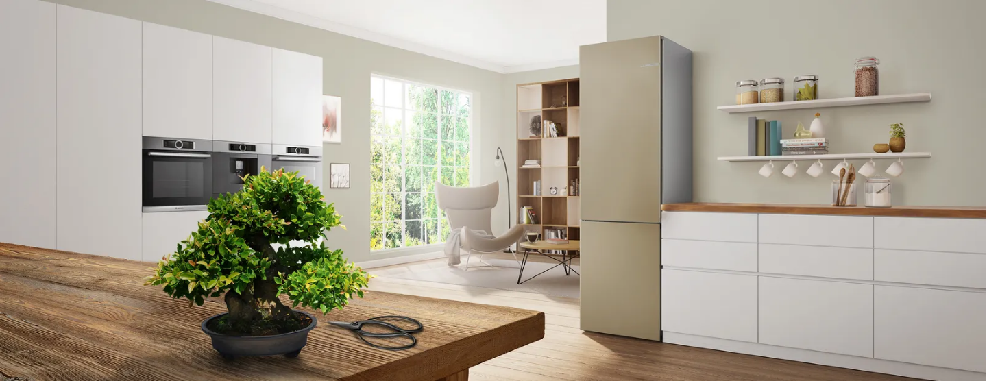 Buca Bosch Tamir Servisi